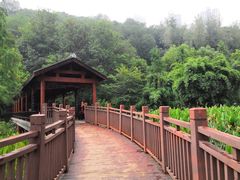 -重庆彩云湖湿地公园