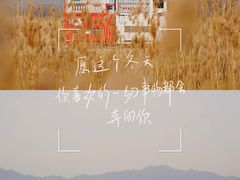 -野鸭湖国家湿地公园