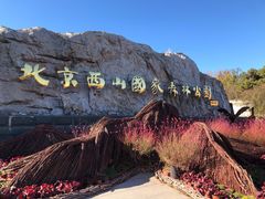 -北京西山国家森林公园