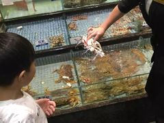 -新海利海鲜城·41年珠海老字号(夏湾店)