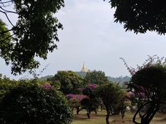 -云南勐巴娜西珍奇园