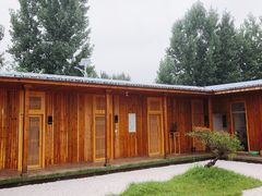 -午后庭院
