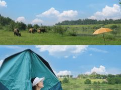 -迪卡侬(西华店)