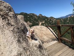 -大岭沟猕猴桃谷风景区