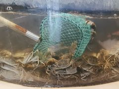 -海天盛宴新派海鲜自助餐厅(群力店)