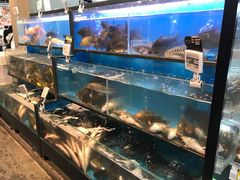 水产区-盒马鲜生(宝地店)