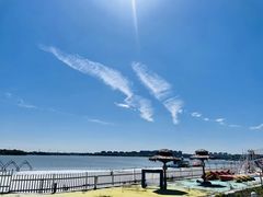 -武清南湖绿博园