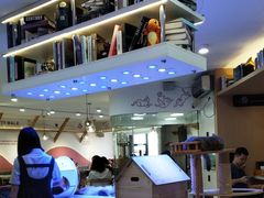 -喵园·猫主题咖啡厅·撸猫·猫咖(国贸店)