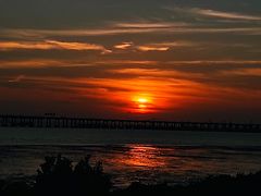 -宝安西湾红树林湿地公园