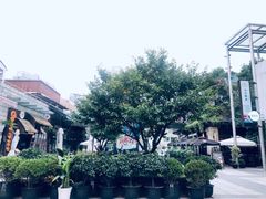 -证大大拇指广场(芳甸路店)