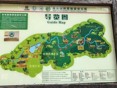 -西双版纳原始森林公园
