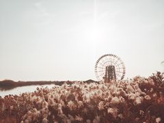 -太湖湖滨国家湿地公园-停车场