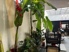 -单家老院·院子里的青岛菜(沙子口店)