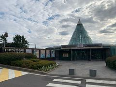 -济州岛泰迪熊博物馆