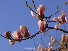 -东华门大街小区