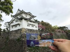 -名古屋城