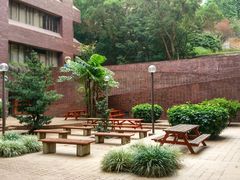 -香港大学