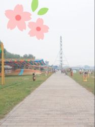 -大美儿童世界(奥林匹克水上公园店)