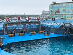 -海合安青岛极地海洋公园