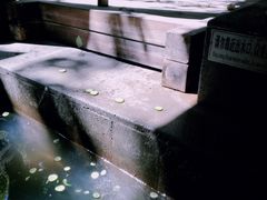 -西安国际创新人才交流中心•药浴温泉
