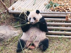 -南宁市动物园