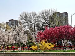 -海棠花溪(元大都城垣遗址公园)