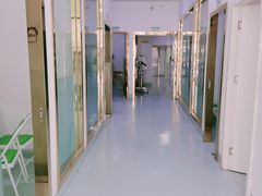 -汪喵宠物医院·骨科心脏影像·犬猫急重症ICU诊疗中心(成华分院)