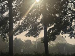 -佛山科学馆