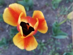 -长春公园(普阳街道)