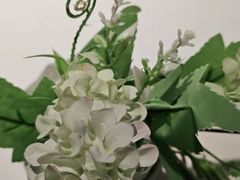 -大鸭梨烤鸭(枣园店)