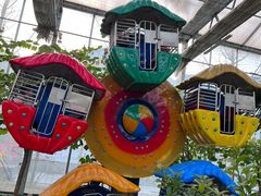 -南宫五洲植物乐园