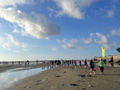 -红树林天天赶海