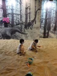 -恐龙探索乐园(磁器口店)