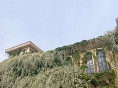 -府河摄影公园
