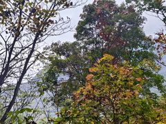 -野三坡百草畔景区