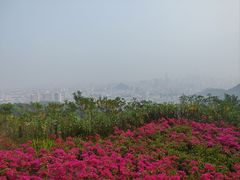 -广州市白云山风景名胜区