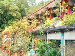 -深圳仙湖植物园