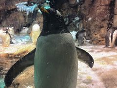 -波塞冬海底世界