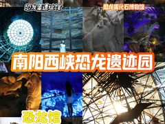 -中国西峡恐龙遗迹园