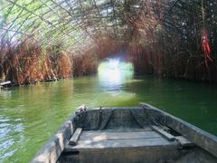 -江门古劳水乡旅游区