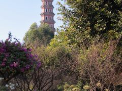 -广州莲花山旅游区