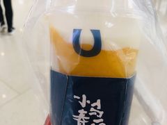 -春丽小马(济南恒隆广场店)