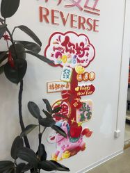 -润复丝·泽发防脱头皮管理