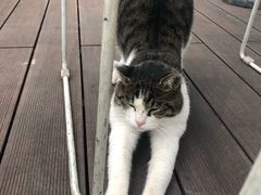 -UNI UNI(环亚凯瑟琳店)