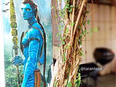 -槟城街头艺术街区