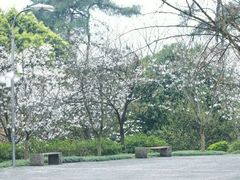-南山植物园