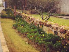 iphone_upload_pic-田园东方蜜桃村的田野营地