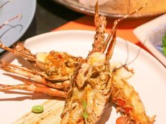 小青龙-松临·铁板烧&Omakase(神农店)