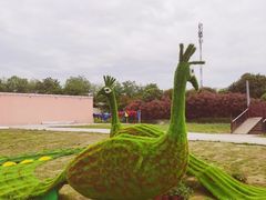 -武汉紫薇都市田园