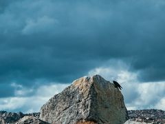 -兔儿山